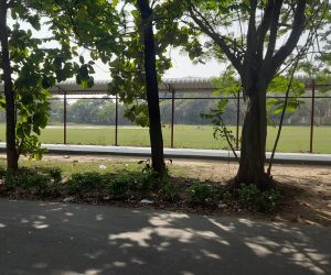 Test Alumni News – 5