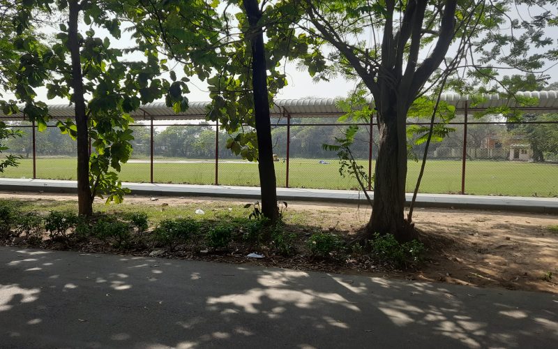 Test Alumni News – 5